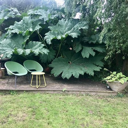 Rural Devon Retreat In Stunning Exe Valley. Exeter Ngoại thất bức ảnh