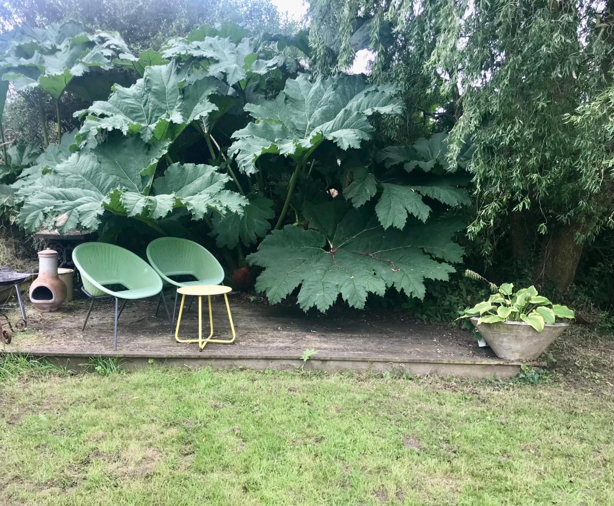 Rural Devon Retreat In Stunning Exe Valley. Exeter Ngoại thất bức ảnh